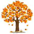 seasons
